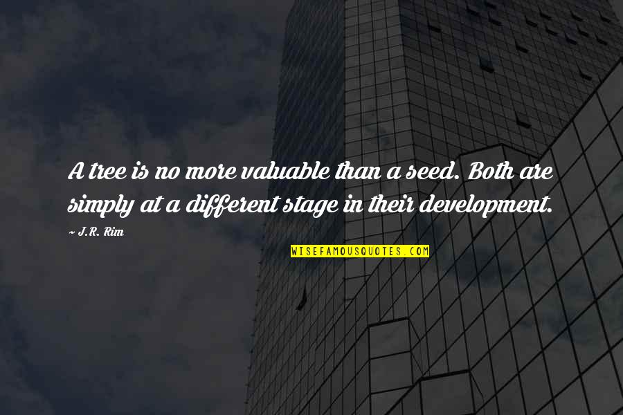 Seed Life Quotes By J.R. Rim: A tree is no more valuable than a
