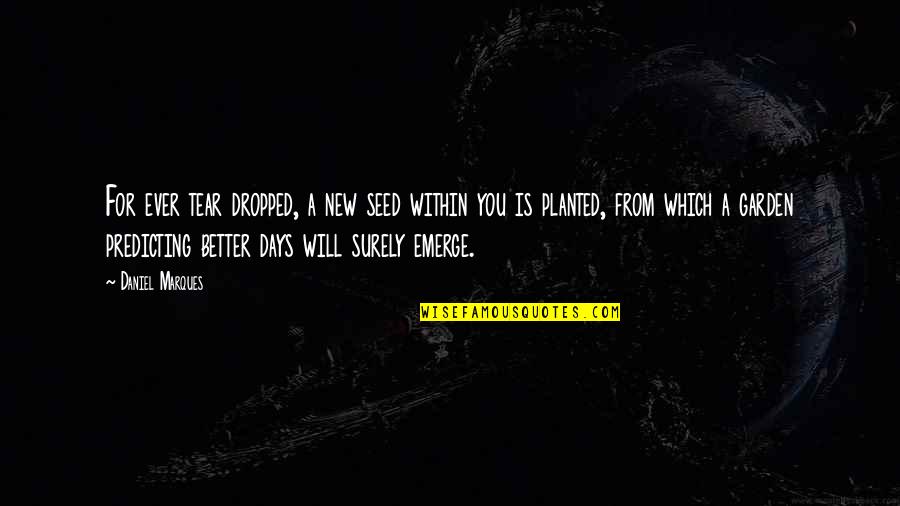 Seed Planted Quotes By Daniel Marques: For ever tear dropped, a new seed within