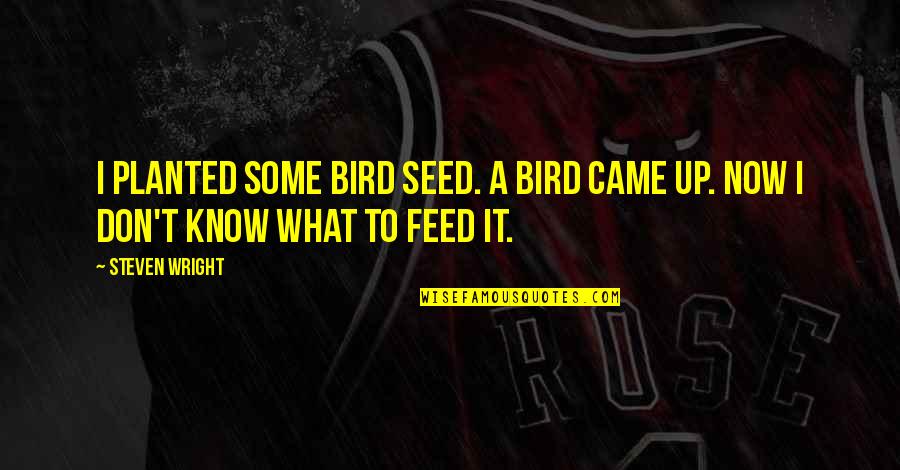 Seed Planted Quotes By Steven Wright: I planted some bird seed. A bird came