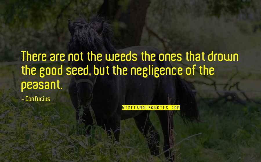 Seed Quotes By Confucius: There are not the weeds the ones that