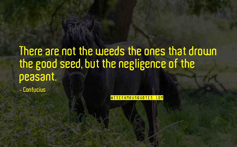 Seed The Quotes By Confucius: There are not the weeds the ones that