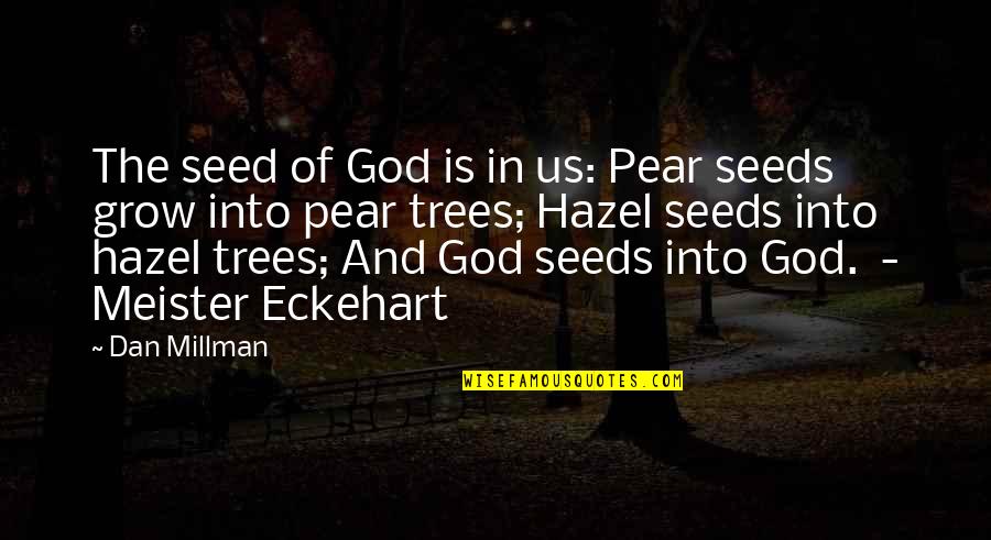 Seed The Quotes By Dan Millman: The seed of God is in us: Pear