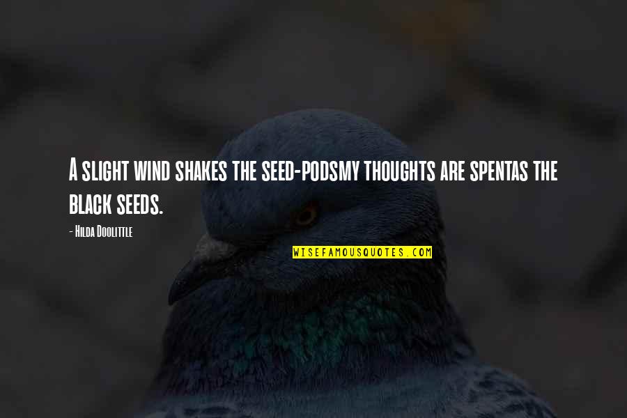 Seed The Quotes By Hilda Doolittle: A slight wind shakes the seed-podsmy thoughts are