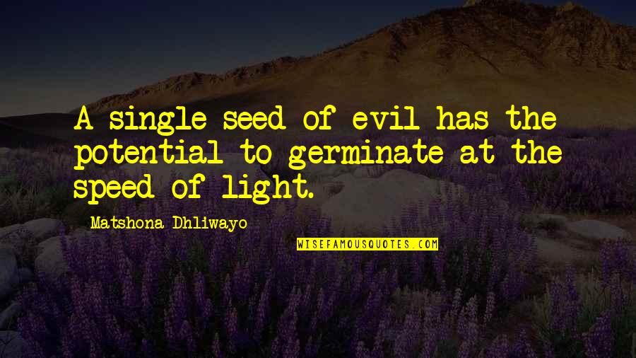 Seed The Quotes By Matshona Dhliwayo: A single seed of evil has the potential