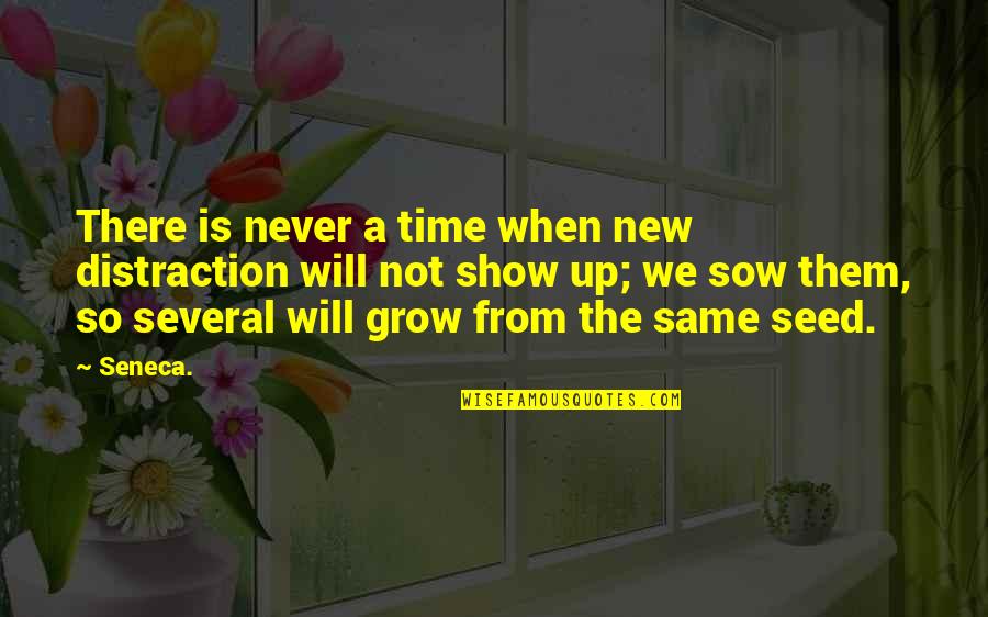 Seed Time Quotes By Seneca.: There is never a time when new distraction