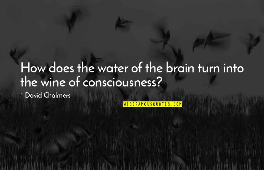 Seeder Quotes By David Chalmers: How does the water of the brain turn Seeder Quotes By David Chalmers: How does the water of the brain turn