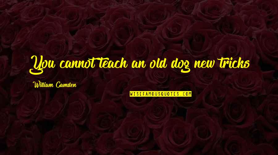 Seedman Marijuana Quotes By William Camden: You cannot teach an old dog new tricks Seedman Marijuana Quotes By William Camden: You cannot teach an old dog new tricks