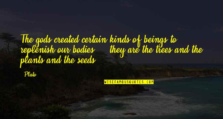Seeds And Trees Quotes By Plato: The gods created certain kinds of beings to