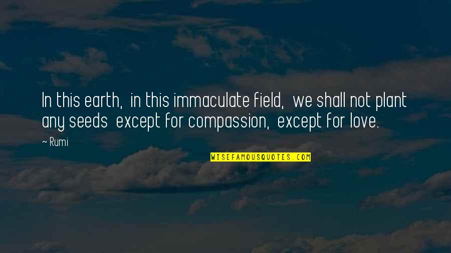 Seeds Love Quotes By Rumi: In this earth, in this immaculate field, we Seeds Love Quotes By Rumi: In this earth, in this immaculate field, we