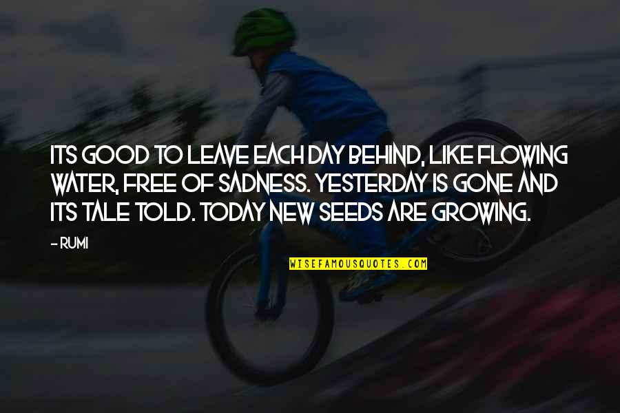Seeds Of Yesterday Quotes By Rumi: Its good to leave each day behind, like