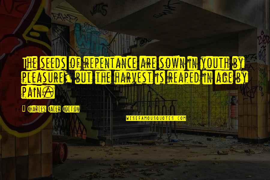 Seeds Sown Quotes By Charles Caleb Colton: The seeds of repentance are sown in youth Seeds Sown Quotes By Charles Caleb Colton: The seeds of repentance are sown in youth