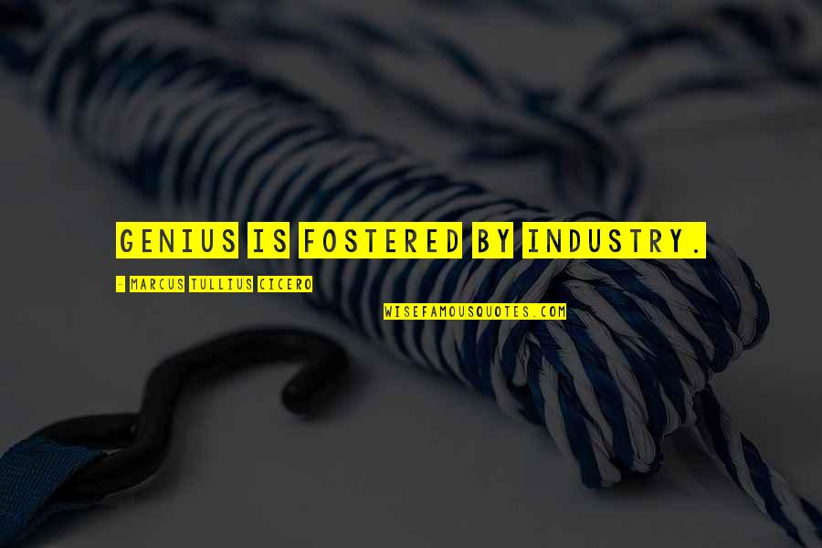 Seehusen Surname Quotes By Marcus Tullius Cicero: Genius is fostered by industry.