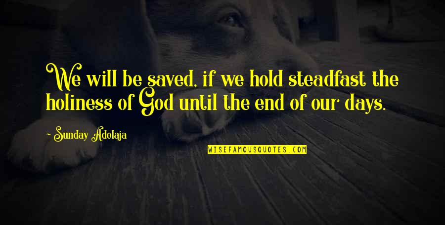 Seehusen Surname Quotes By Sunday Adelaja: We will be saved, if we hold steadfast
