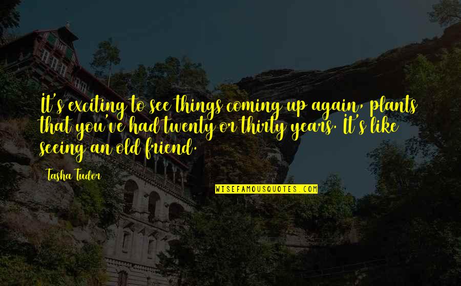 Seeing An Old Friend Again Quotes By Tasha Tudor: It's exciting to see things coming up again,