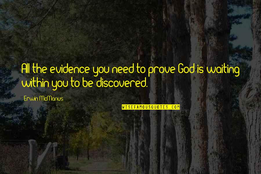 Seeing Beauty In Small Things Quotes By Erwin McManus: All the evidence you need to prove God