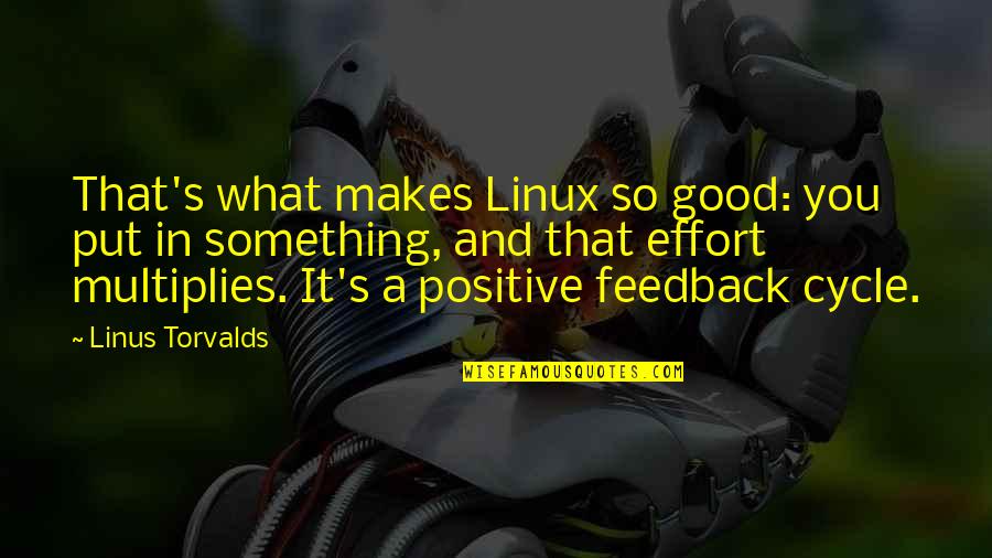 Seeing Isn't Believing Quotes By Linus Torvalds: That's what makes Linux so good: you put Seeing Isn't Believing Quotes By Linus Torvalds: That's what makes Linux so good: you put