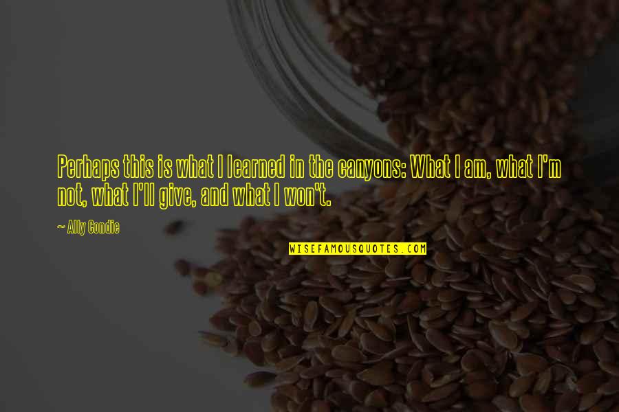 Seeing Life Through My Eyes Quotes By Ally Condie: Perhaps this is what I learned in the Seeing Life Through My Eyes Quotes By Ally Condie: Perhaps this is what I learned in the
