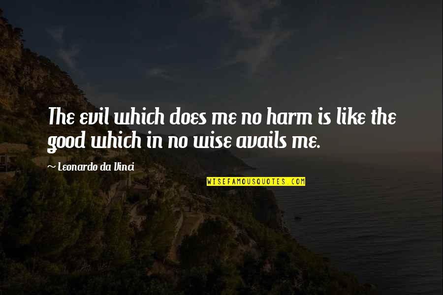 Seeing Loved Ones In Heaven Quotes By Leonardo Da Vinci: The evil which does me no harm is Seeing Loved Ones In Heaven Quotes By Leonardo Da Vinci: The evil which does me no harm is