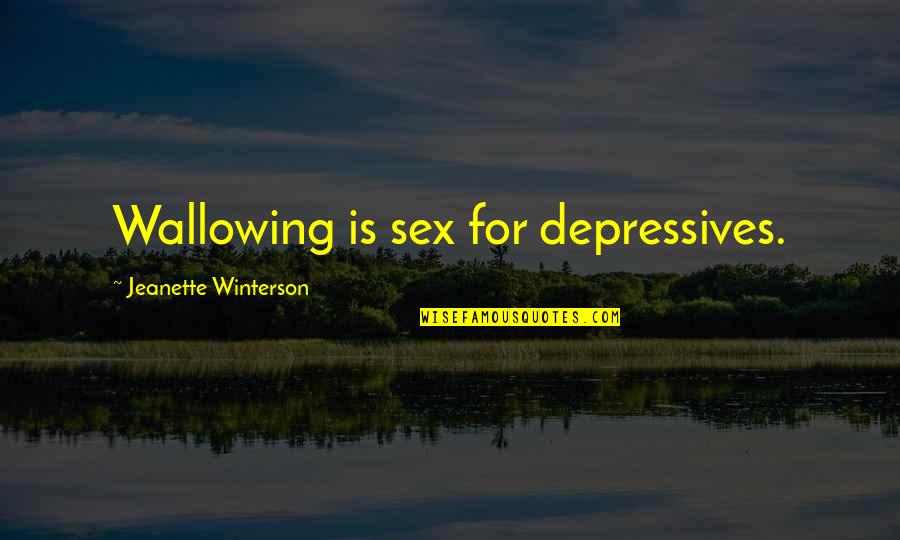 Seeing More Than Meets The Eye Quotes By Jeanette Winterson: Wallowing is sex for depressives.