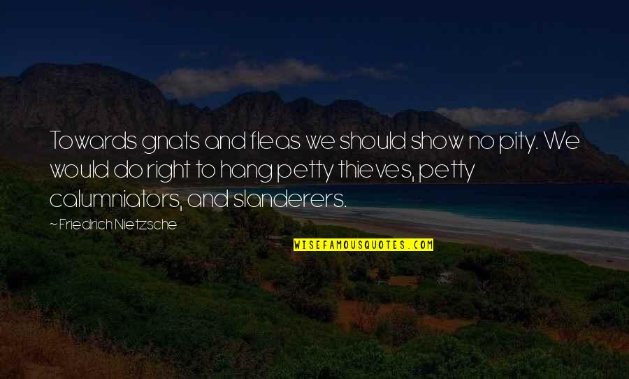 Seeing Something Amazing Quotes By Friedrich Nietzsche: Towards gnats and fleas we should show no