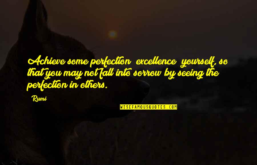 Seeing The Best In Others Quotes By Rumi: Achieve some perfection [excellence] yourself, so that you
