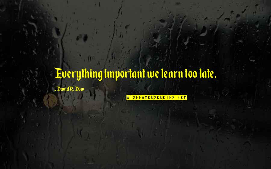 Seeing The Bigger Picture In Life Quotes By David R. Dow: Everything important we learn too late. Seeing The Bigger Picture In Life Quotes By David R. Dow: Everything important we learn too late.