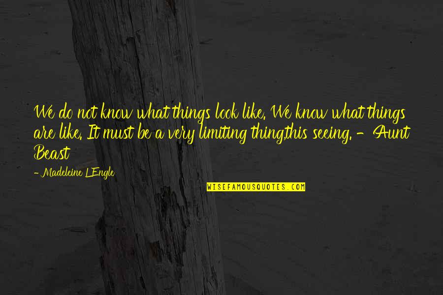 Seeing Things For What They Are Quotes By Madeleine L'Engle: We do not know what things look like.