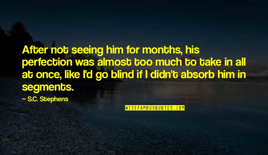 Seeing Too Much Quotes By S.C. Stephens: After not seeing him for months, his perfection Seeing Too Much Quotes By S.C. Stephens: After not seeing him for months, his perfection