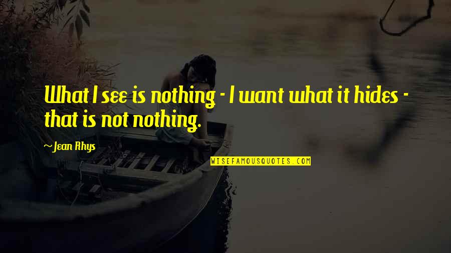 Seeing What You Want Quotes By Jean Rhys: What I see is nothing - I want