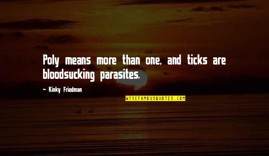 Seeing Wisely Quotes By Kinky Friedman: Poly means more than one, and ticks are Seeing Wisely Quotes By Kinky Friedman: Poly means more than one, and ticks are