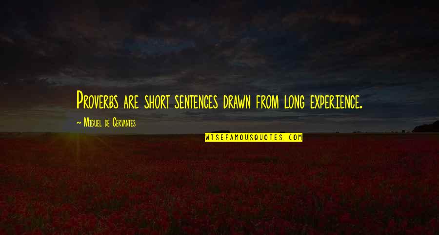 Seek Adventure Quotes By Miguel De Cervantes: Proverbs are short sentences drawn from long experience.