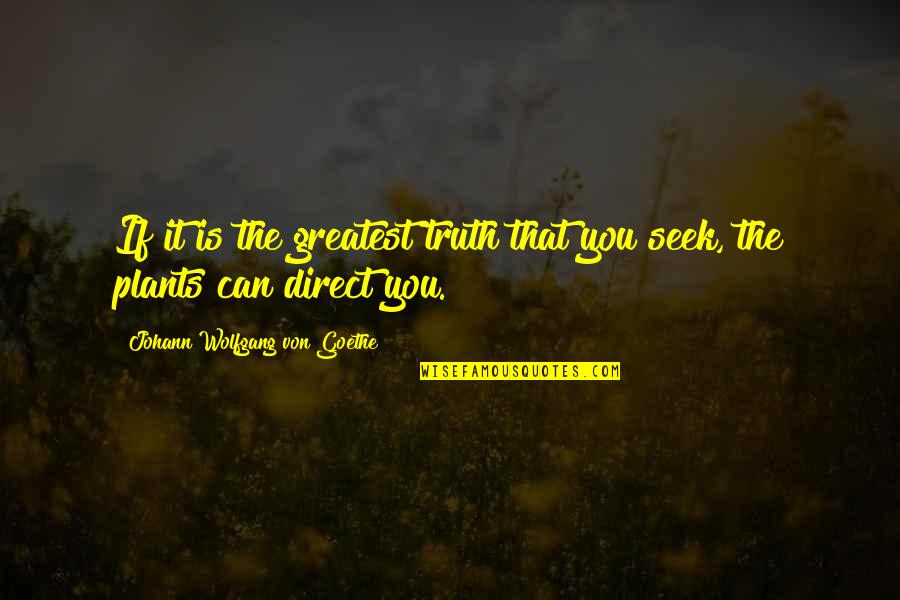 Seek The Truth Quotes By Johann Wolfgang Von Goethe: If it is the greatest truth that you