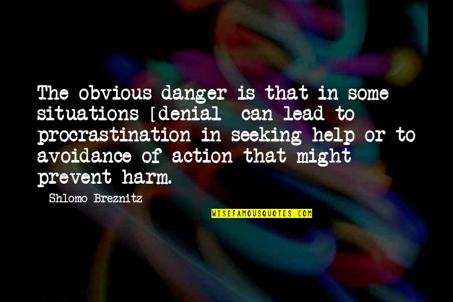Seeking Help Quotes By Shlomo Breznitz: The obvious danger is that in some situations Seeking Help Quotes By Shlomo Breznitz: The obvious danger is that in some situations