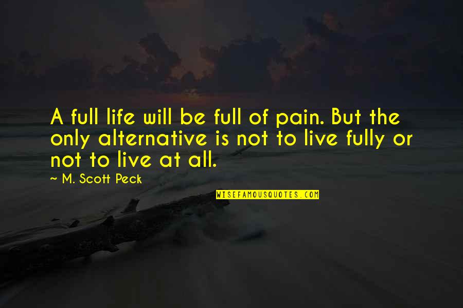 Seenot Quotes By M. Scott Peck: A full life will be full of pain.