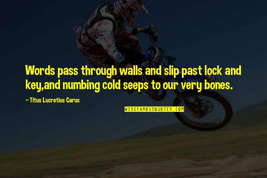 Seeps Through Quotes By Titus Lucretius Carus: Words pass through walls and slip past lock