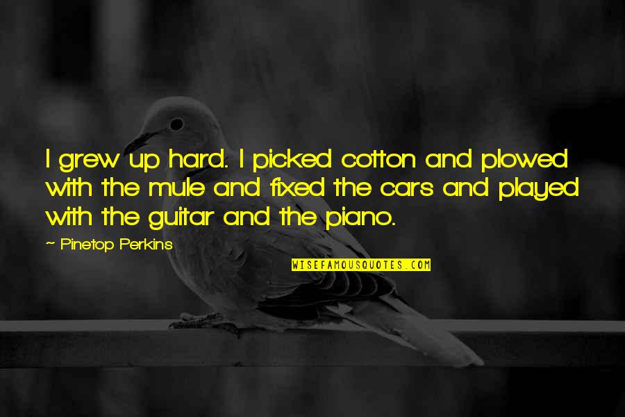 See's Candy Quotes By Pinetop Perkins: I grew up hard. I picked cotton and