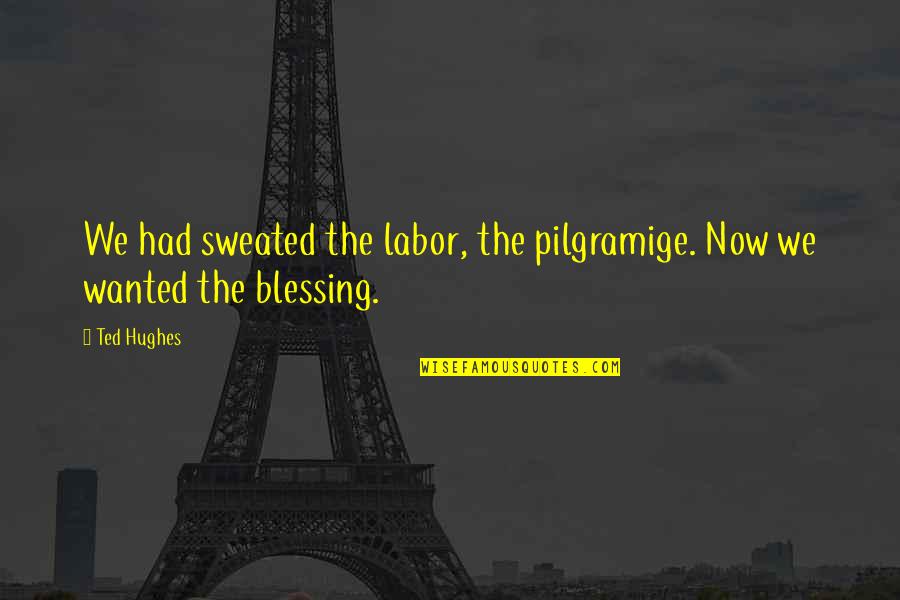 Segadelli Quotes By Ted Hughes: We had sweated the labor, the pilgramige. Now