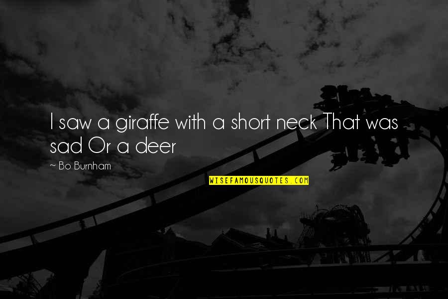 Segadora Helicoidal Quotes By Bo Burnham: I saw a giraffe with a short neck