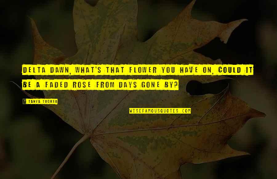 Segundos Catastroficos Quotes By Tanya Tucker: Delta Dawn, what's that flower you have on, Segundos Catastroficos Quotes By Tanya Tucker: Delta Dawn, what's that flower you have on,