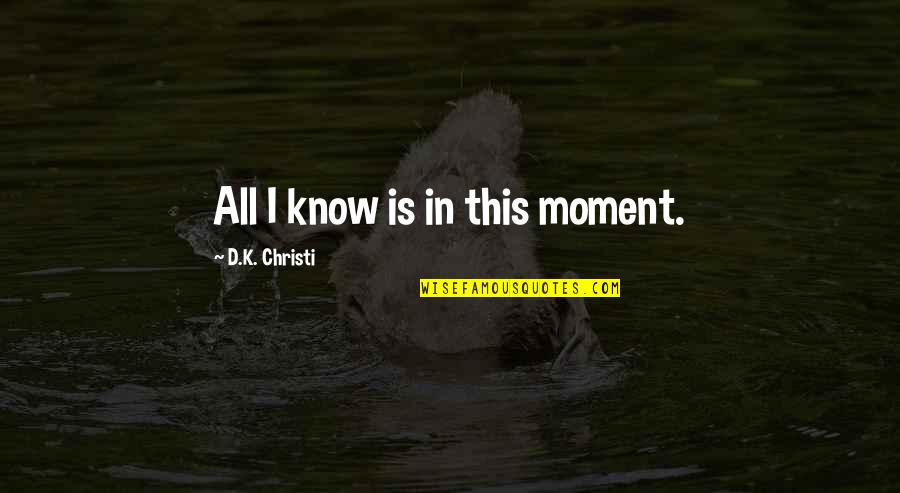Sehensw Rdigkeiten Quotes By D.K. Christi: All I know is in this moment.