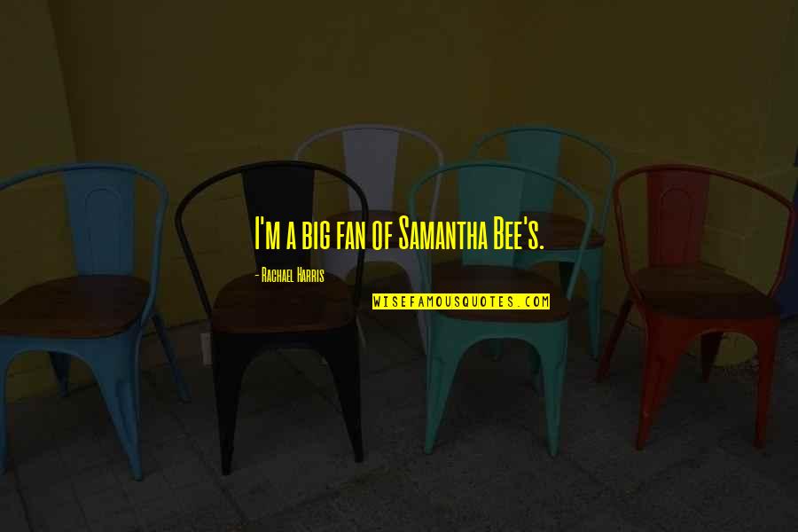 Sehne Kreissegment Quotes By Rachael Harris: I'm a big fan of Samantha Bee's.