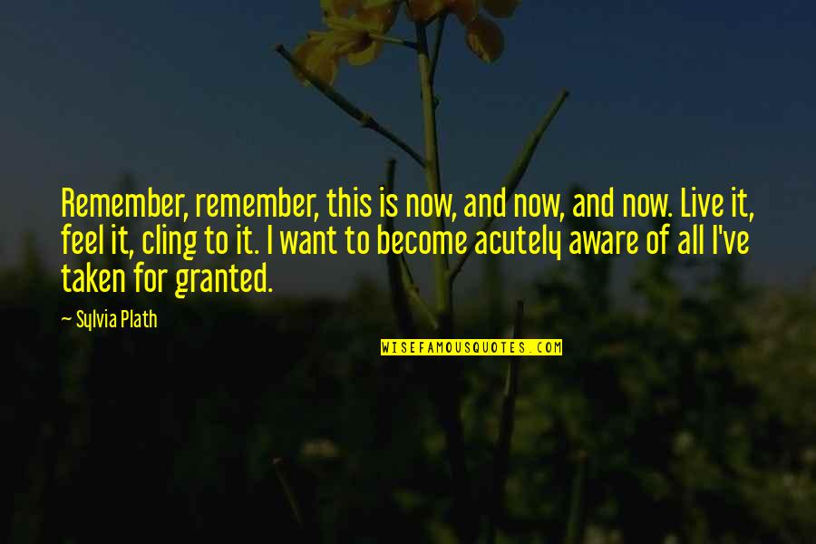 Seidensticker San Filippo Quotes By Sylvia Plath: Remember, remember, this is now, and now, and