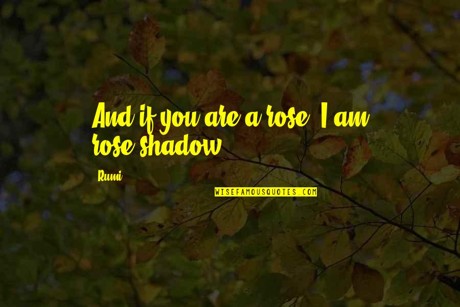 Seie Quotes By Rumi: And if you are a rose, I am