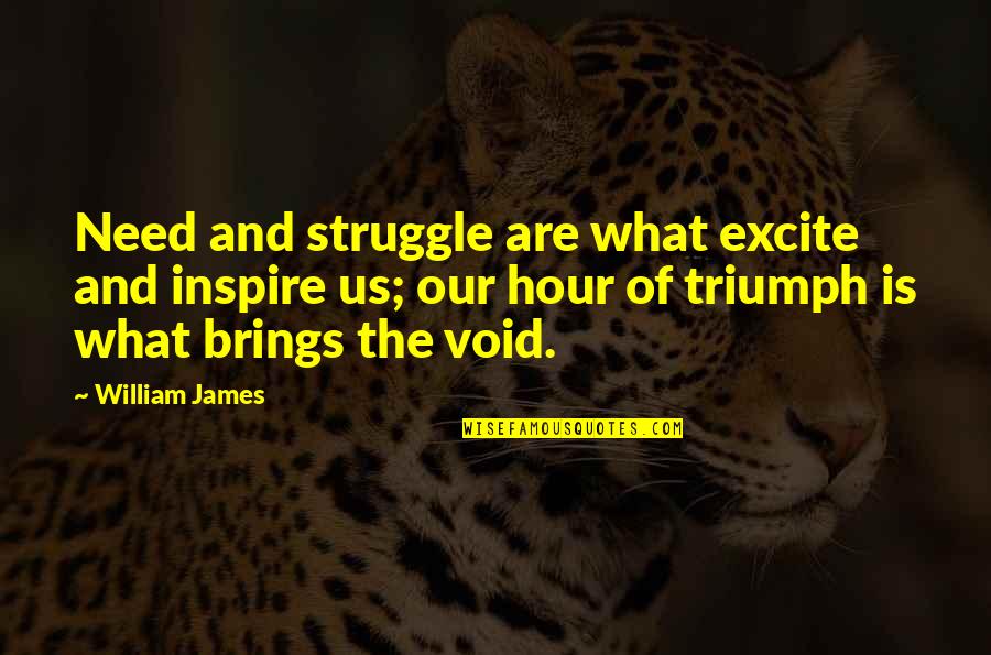 Seillet Quotes By William James: Need and struggle are what excite and inspire
