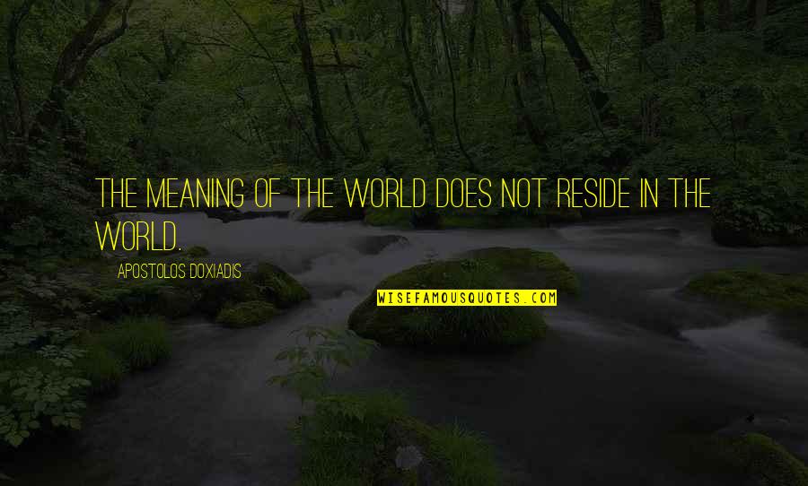 Seindah Sakura Quotes By Apostolos Doxiadis: The meaning of the world does not reside
