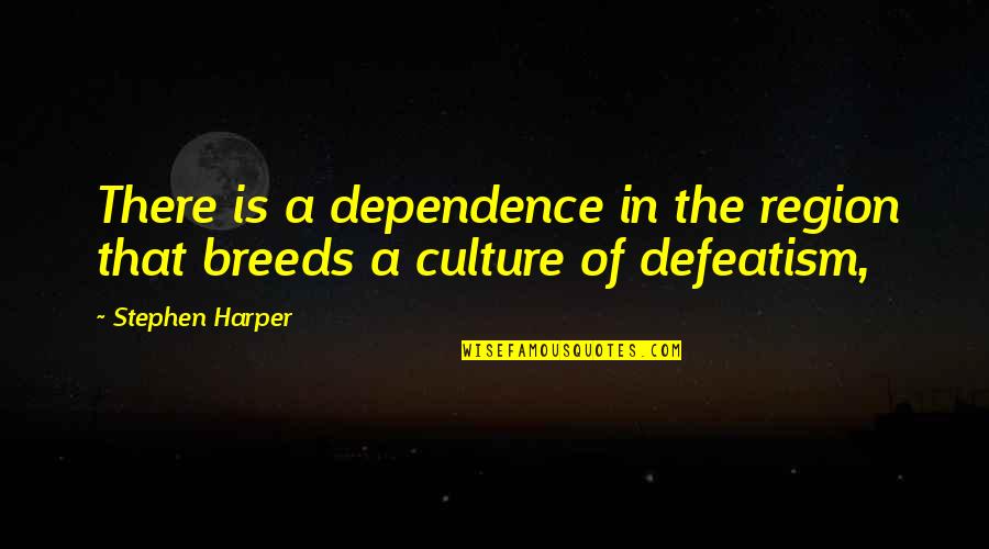Seiring Dan Quotes By Stephen Harper: There is a dependence in the region that