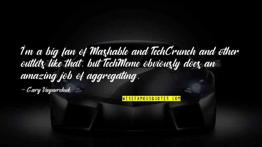 Seiuli Family Quotes By Gary Vaynerchuk: I'm a big fan of Mashable and TechCrunch