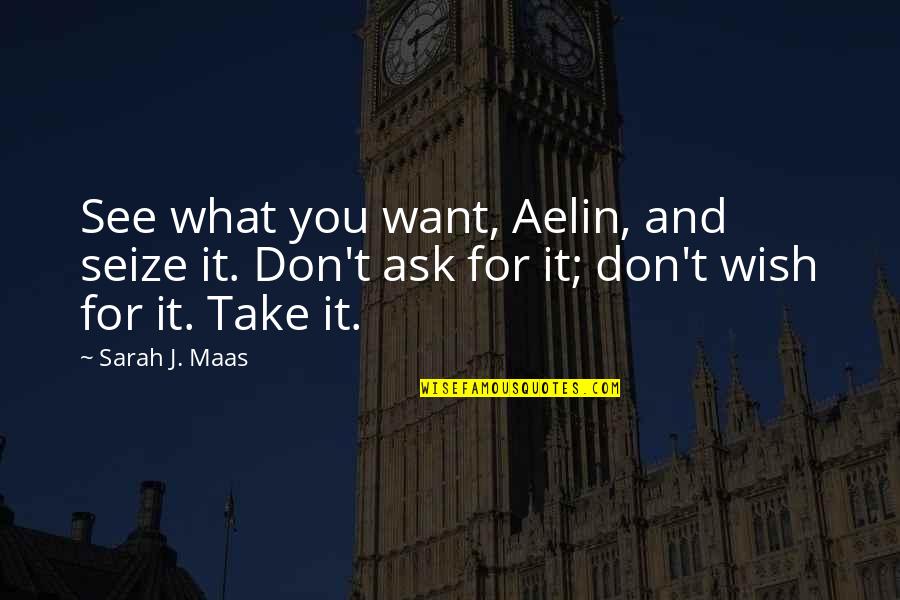 Seize Quotes By Sarah J. Maas: See what you want, Aelin, and seize it.