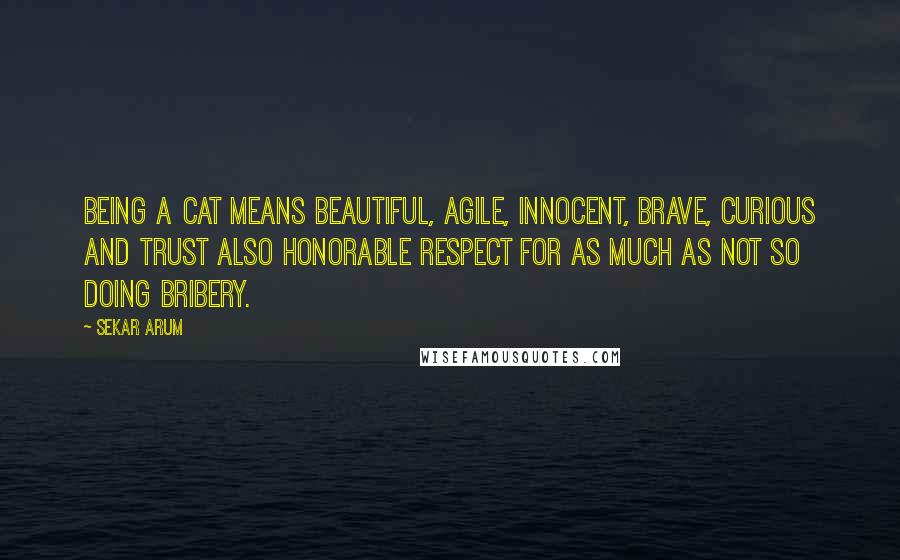 Sekar Arum quotes: Being a cat means beautiful, agile, innocent, brave, curious and trust also honorable respect for as much as not so doing bribery. Sekar Arum quotes: Being a cat means beautiful, agile, innocent, brave, curious and trust also honorable respect for as much as not so doing bribery.