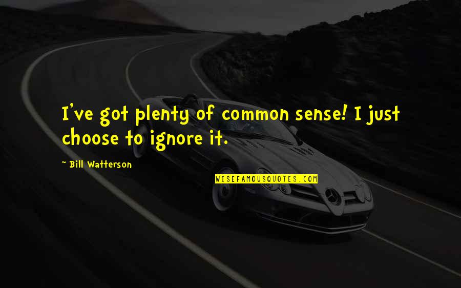 Sekularisasi Ilmu Quotes By Bill Watterson: I've got plenty of common sense! I just Sekularisasi Ilmu Quotes By Bill Watterson: I've got plenty of common sense! I just